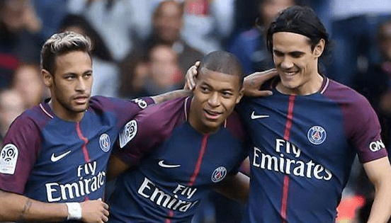 深入探访茅 深入探访茅