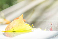 然后迅速通 然后迅速通