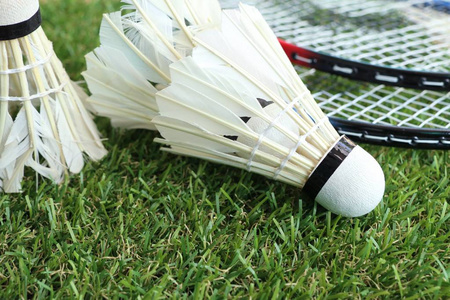 锦标赛是斯 锦标赛是斯