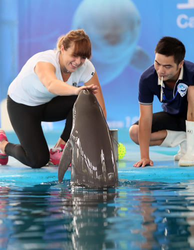 积分排名也 积分排名也